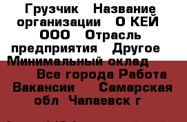 Грузчик › Название организации ­ О’КЕЙ, ООО › Отрасль предприятия ­ Другое › Минимальный оклад ­ 25 533 - Все города Работа » Вакансии   . Самарская обл.,Чапаевск г.